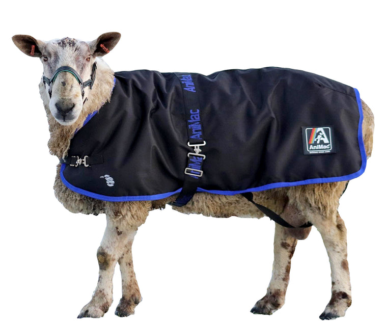 Sheep Coats & Lamb Jackets | AniMac Animal Coats – AniMac USA