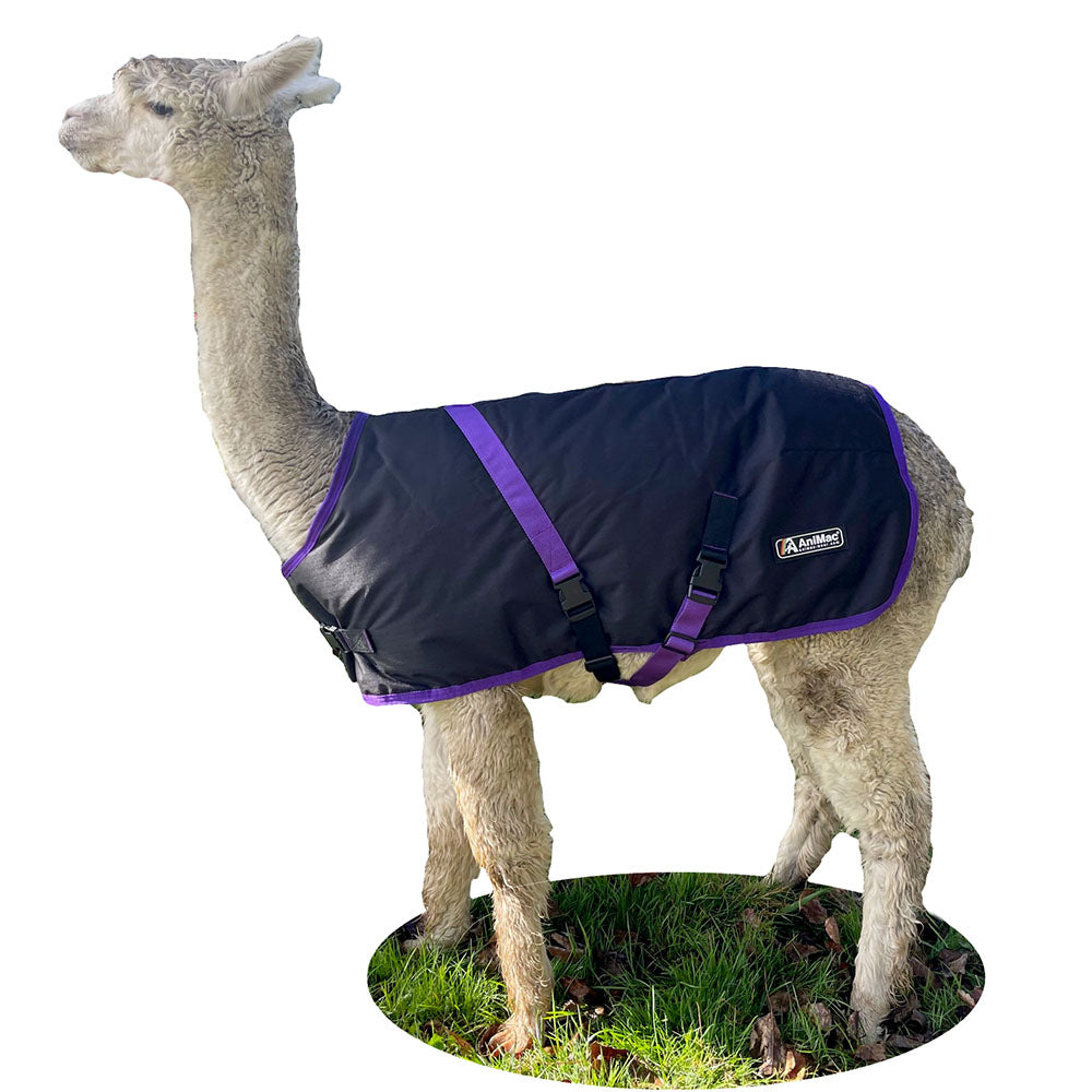 Alpaca Coats: Support Growth, Recovery, and Wellbeing Year-Round
