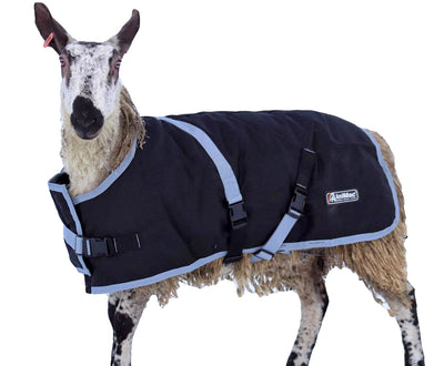 Sheep Coats: Safeguarding Sheep Health and Maximizing Wool Quality