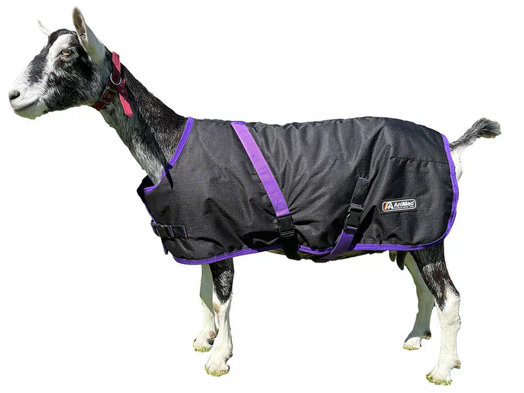 Goat Coats: For Healthier, Happier Goats