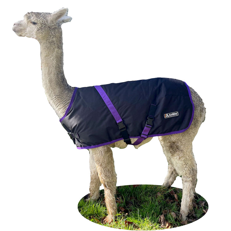 AniMac Alpaca Coat