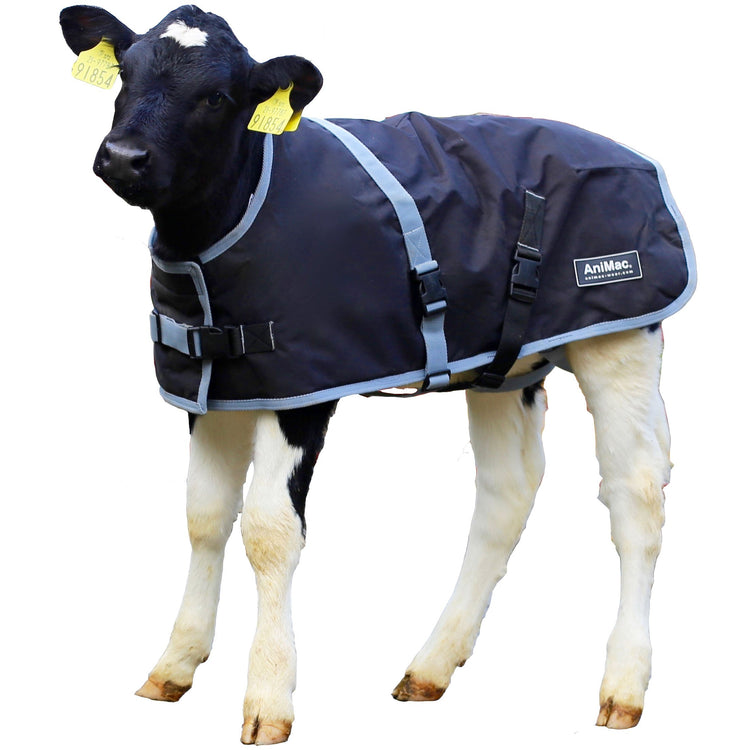 Calf Blanket AniMac