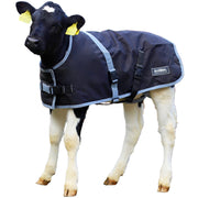 Calf Blanket AniMac