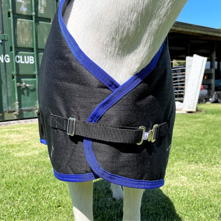 A close-up of a white horse in a black blanket with blue trim and buckle straps, standing on grass by a green shipping container and building—similar to the Goat Coat | Waterproof.