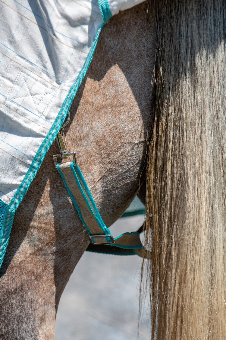 Close-up of a horse’s hindquarters wearing the AniMac Allrounder Fly Rug Combo, featuring blue trim and a strap. The horse’s long, light tail hangs beside the protective white sheet.