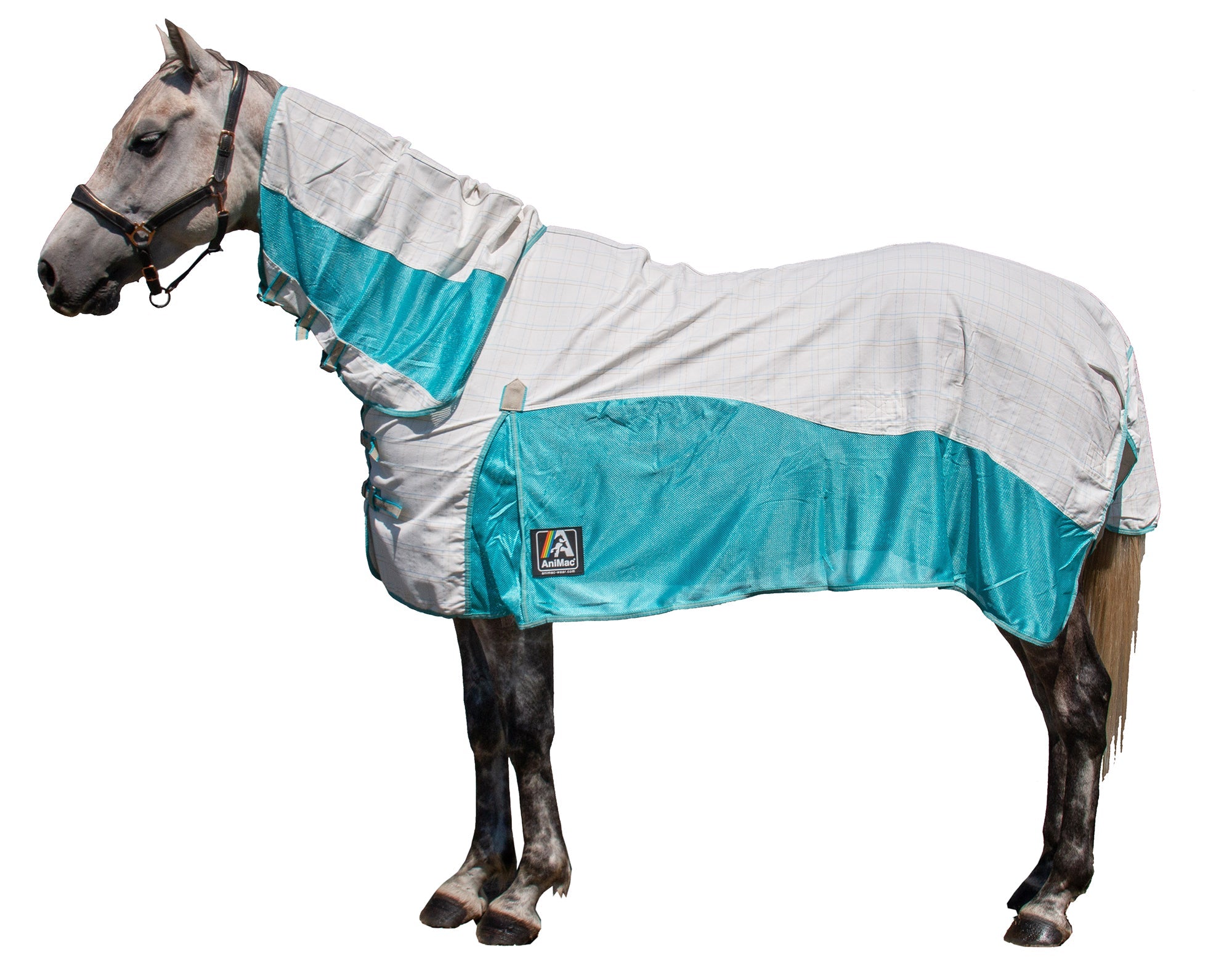 A horse wearing the AniMac Allrounder Fly Rug Combo in light grey and turquoise, covering its body and neck, stands in profile against a white background.