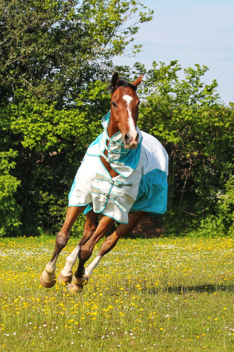 An AniMac Allrounder Fly Rug Combo in light blue and white protects a brown horse as it runs through a grassy field with yellow and white wildflowers, green trees, and bushes in the background.