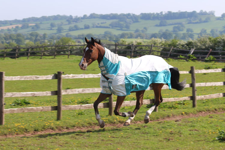 A brown horse wearing the AniMac Allrounder Fly Rug Combo trots along a dirt path inside a fenced green pasture with rolling hills in the background.