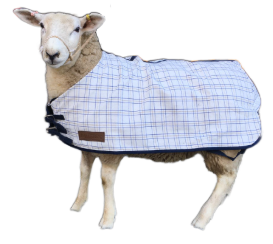 AniMac Sheep Show Coat