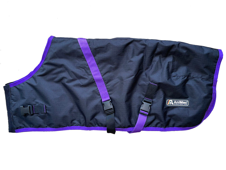 The Goat Coat | Waterproof is a black blanket with purple trim, featuring two adjustable straps and buckles across the middle and an AniMac label on the side—designed to ensure a secure, comfortable fit for your goat.